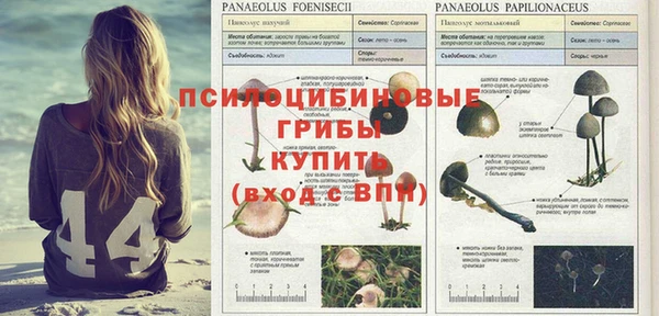 стафф Михайловка