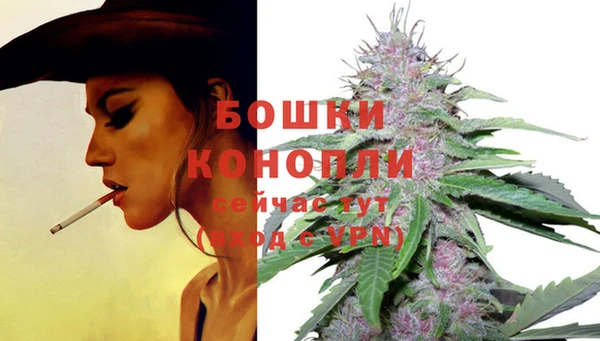 стафф Михайловка