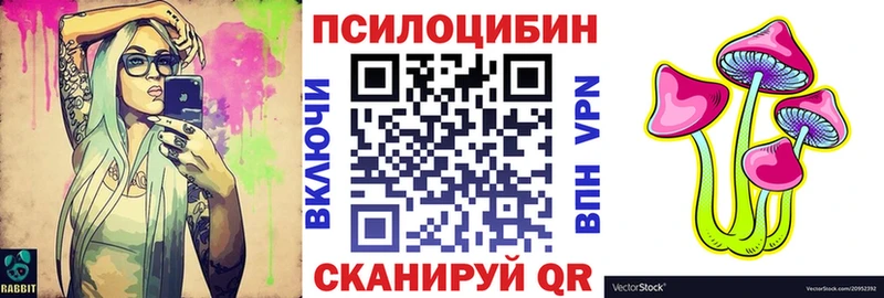 продажа наркотиков  Кировск  MEGA как войти  Галлюциногенные грибы Psilocybe 