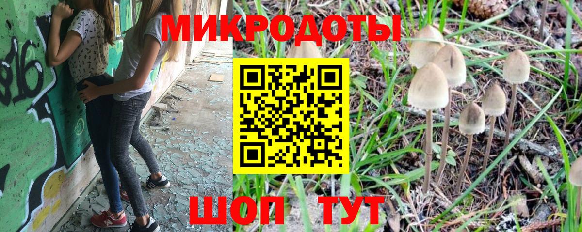 Галлюциногенные грибы Cubensis Кировск