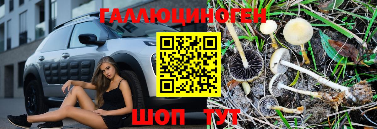 Псилоцибиновые грибы мухоморы  Кировск  Псилоцибиновые грибы мицелий 